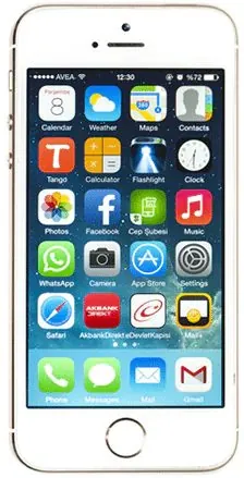 Apple iPhone 5S